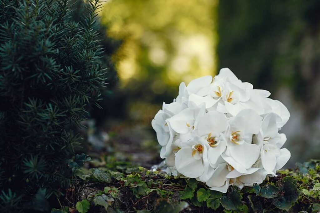 roseville florist